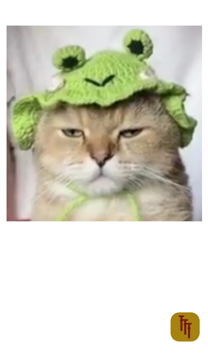 Sawelguard profile card